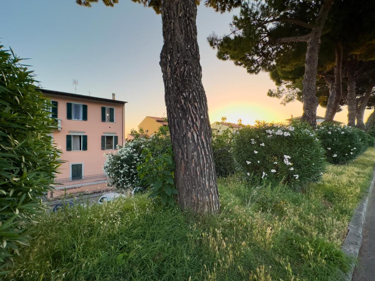 La Casa Di Eli Appartamenti Pisa Eksteriør bilde