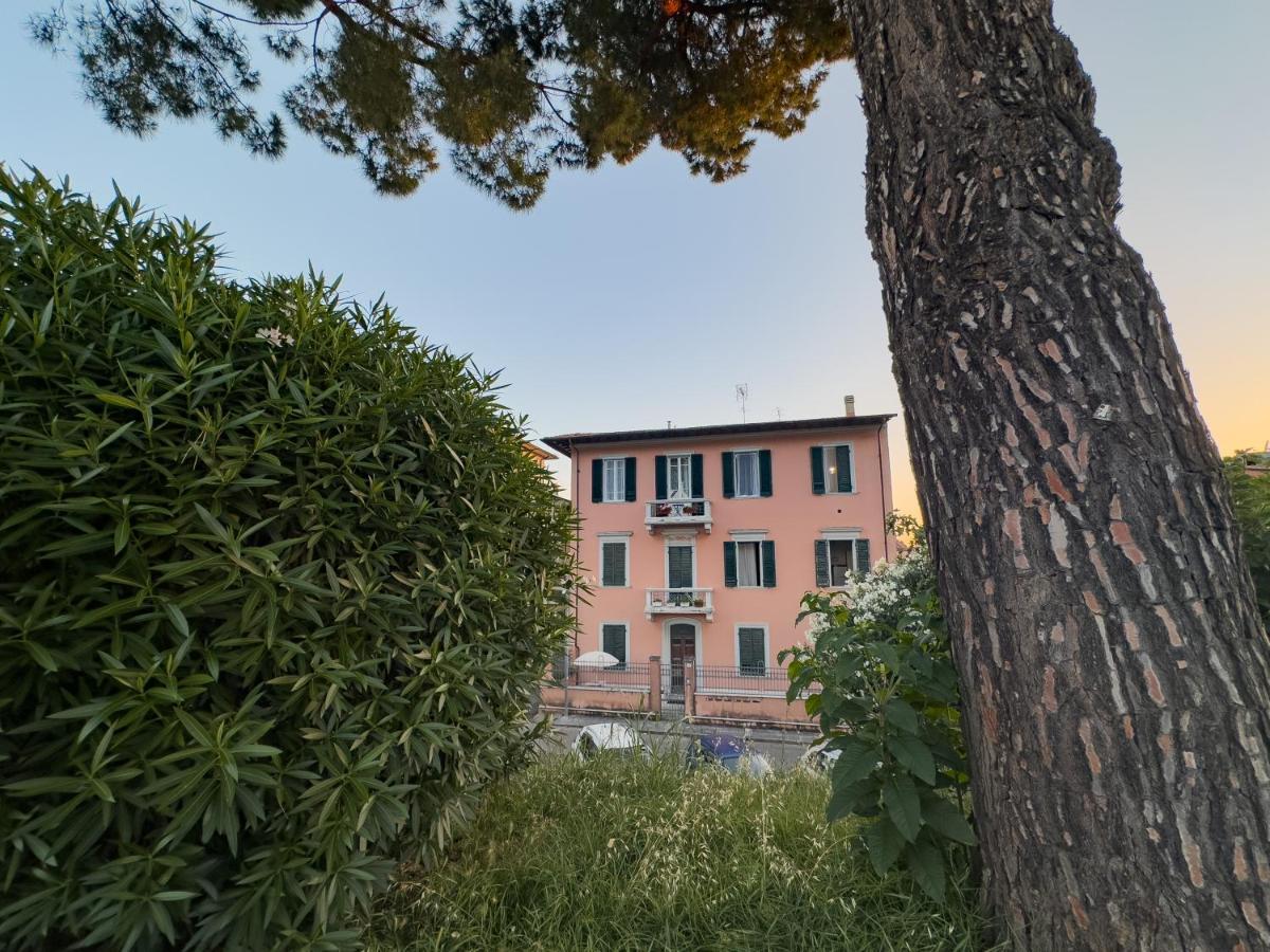 La Casa Di Eli Appartamenti Pisa Eksteriør bilde